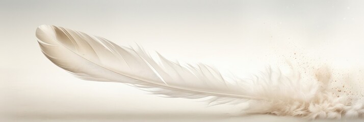 Close-up of a white feather on a white background. Single white feather isolated