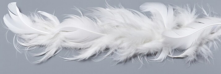 Close-up of a white feather on a gray background. Single white feather isolated