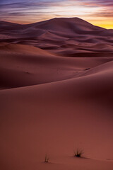 夜明けのサハラ砂漠の幻想的な風景