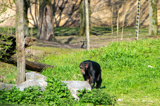 2023-04 Safaripark