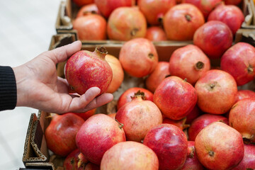 A woman chooses pomegranate fruit at a grocery store
