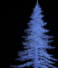 Christmas tree with blue lights isolated on a dark background with copy space
