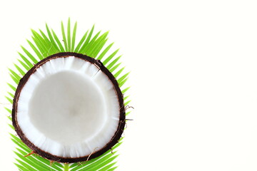 organic cut palm coconut fruit with leaves in white background,copy space