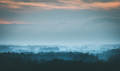 Silhouettes of trees covered in fog.  Gloomy weather over the countryside. Lonely and spooky scenery. 