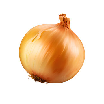 recommend clip art: Red and gold onion on png background.