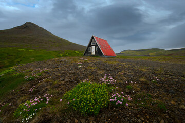 From below of solitary cottage with a red roof stands amidst a vast Icelandic landscape with green hills and wildflowers under a cloudy sky