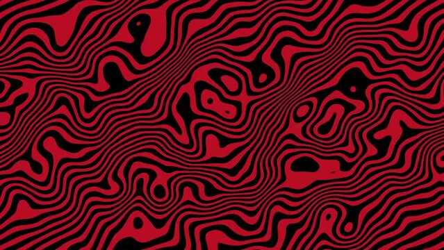 Animated wavy line motion graphic background. Seamless looped Abstract motion graphic, Abstract moving topographic map lines. Moving wavy line striped pattern black color background.