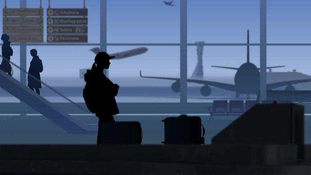 The frame shows an airport with a waiting room. A woman is waiting for his luggage while it is checked by X ray scanners. Then he takes his suitcase and leaves. On its background runway with airplanes