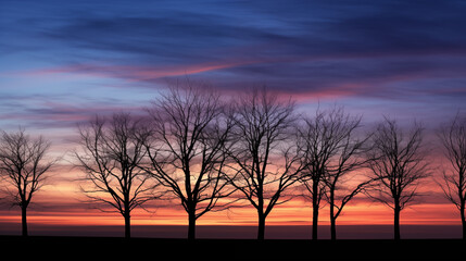Fototapeta na wymiar silhouettes of trees at sunset