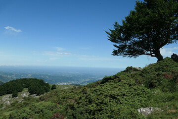 Randonnée en baronnies