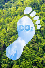 Carbon footprint concept with CO2 text and footprint shape against woodland - CO2 Neutral and...