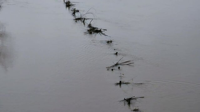 Zoltan Hochwasser 12.2023 in Porta Westfalica Richtung Bad Oeynhausen