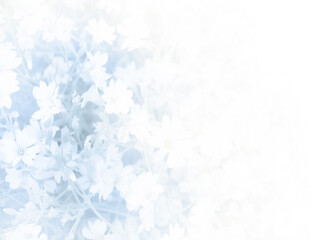 frozen blue flower on white background. Copy space. Winter cold texture for season poster, flyer, sale banner, social media designs.