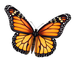 Monarch beautiful isolated on transparent background PNG