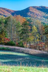 Autumn in Cades Cove