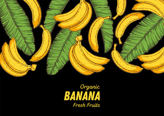 Ripe banana frame. Hand drawn vector illustration. Tropical fruit. Packaging design, menu design, juice packaging. Banana frame.