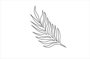 Vector line art drawing or  fern leaf line art , illustration