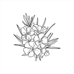 Decorative abstract oleander hand-drawn flower bouquet of line art design. Easy sketch art of Oleander flower outline.

