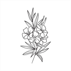 Decorative abstract oleander hand-drawn flower bouquet of line art design. Easy sketch art of Oleander flower outline.
 - obrazy, fototapety, plakaty