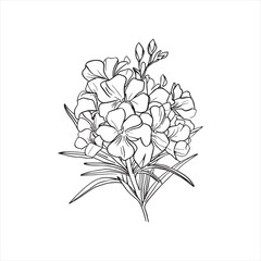 Decorative abstract oleander hand-drawn flower bouquet of line art design. Easy sketch art of Oleander flower outline.
