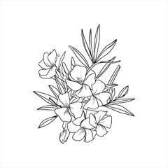 Decorative abstract oleander hand-drawn flower bouquet of line art design. Easy sketch art of Oleander flower outline.
