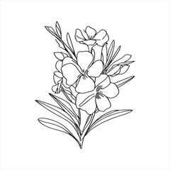 Decorative abstract oleander hand-drawn flower bouquet of line art design. Easy sketch art of Oleander flower outline.
