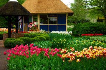 Fototapeta na wymiar Stone paved walk way winding in spring formal flower garden, Holland