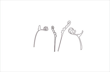 Vector line art drawing or  fern leaf line art , illustration
