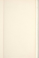 Scan of old damaged vintage paper 300 dpi