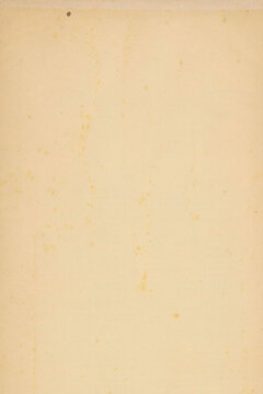 Scan of old damaged vintage paper 300 dpi