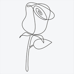 Continuous line hand drawing vector illustration rose flower One line Continuous Vector drawing art