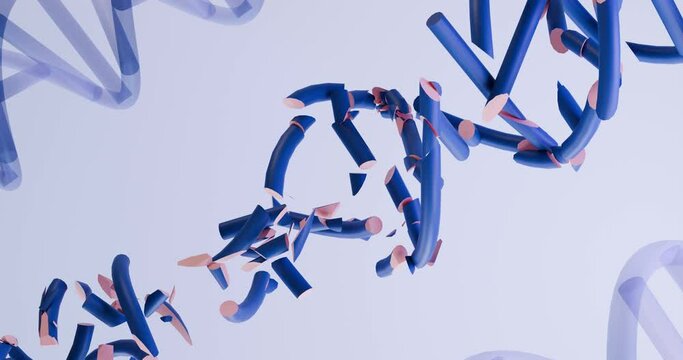 3d animation of the destruction of the human genome. DNA breaks down, mistakes, crumbles and disappears. Abstract stylized video for medical research, genetic engineering, biology, cancer treatment, d