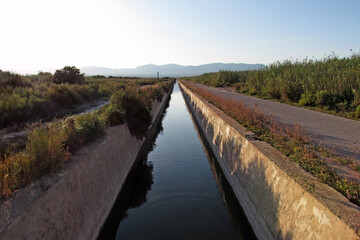 Long ditch of the Rambla in El Hondo Natural Park 