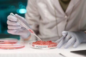 Unrecognizable researcher working on lab-grown meat sample adding liquid in it using pipette