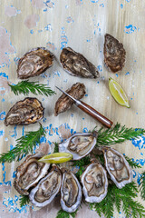 Opened Oysters and lemon on blue wooden background with oyster knife