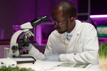 African american biologist placing herb under microscope magnification for analysis