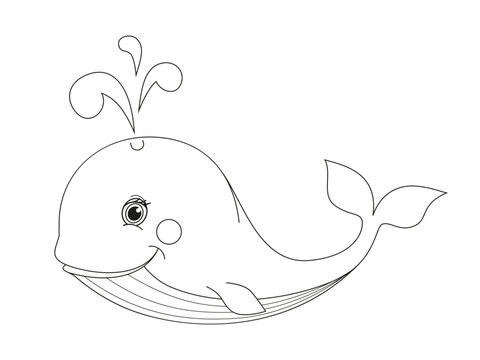 Whale Coloring Page Colored Illustration. Cartoon whale character for children, coloring and scrap book.