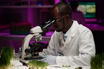 Black laboratory worker looking through microscope working at his desk in lab
