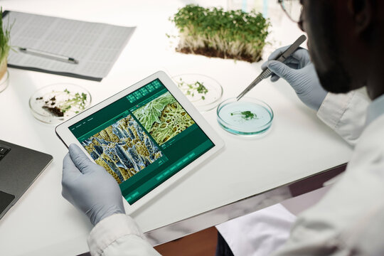 Scientist working at his desk examining image of plant cells on digital tablet screen