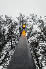 Looking up at a brightly glowing street lamp.