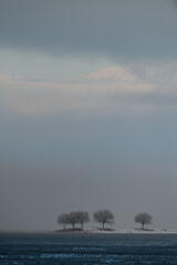 Trees in the mist at Lake Avlan in Turkey.