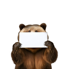 Grizzly Bear Posing for a Close-up Photo While Holding Blank Paper, Isolated on Transparent Background, PNG