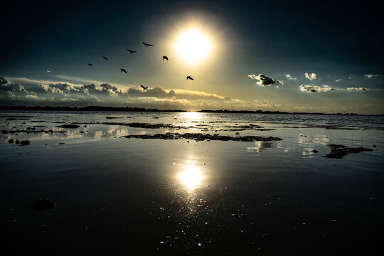 atardeceres en chascomus
