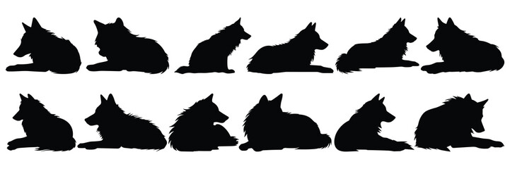 Wolf silhouettes set, large pack of vector silhouette design, isolated white background