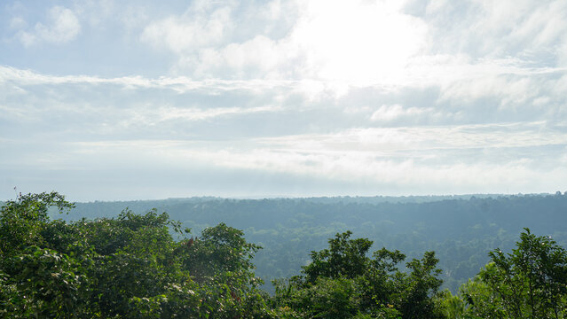 Location photos The lush green forest from above The picture is framed with large trees spreading their branches. During the day, the sky is cloudy and looks gloomy as if it is about to rain.