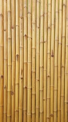 Bamboo vertical background.