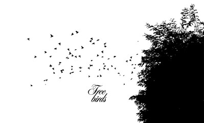 Silhouette of birds flying from the trees. Vector illustration. hand drawing. Not AI - obrazy, fototapety, plakaty