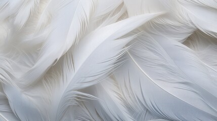  a bunch of white feathers that are all over the place for a background or wallpaper or a wall hanging on a wall.
