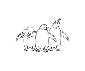 Subantarctic penguin or gentoo penguins, graphic design. Animal, bird, avian, feathered, antarctica and nature, vector design and illustration