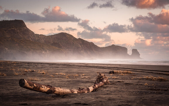 Bethells Beach, New Zealand